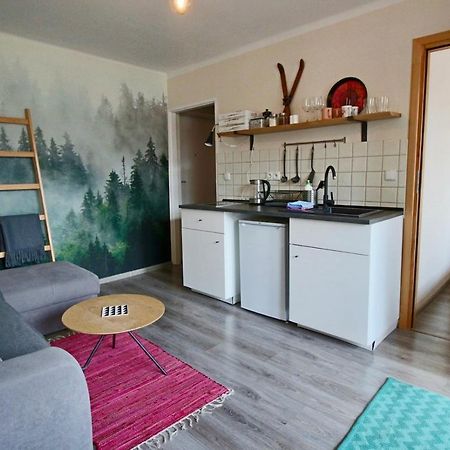 Appartement Apartament Bazatatry Sloneczny II à Zakopane Extérieur photo
