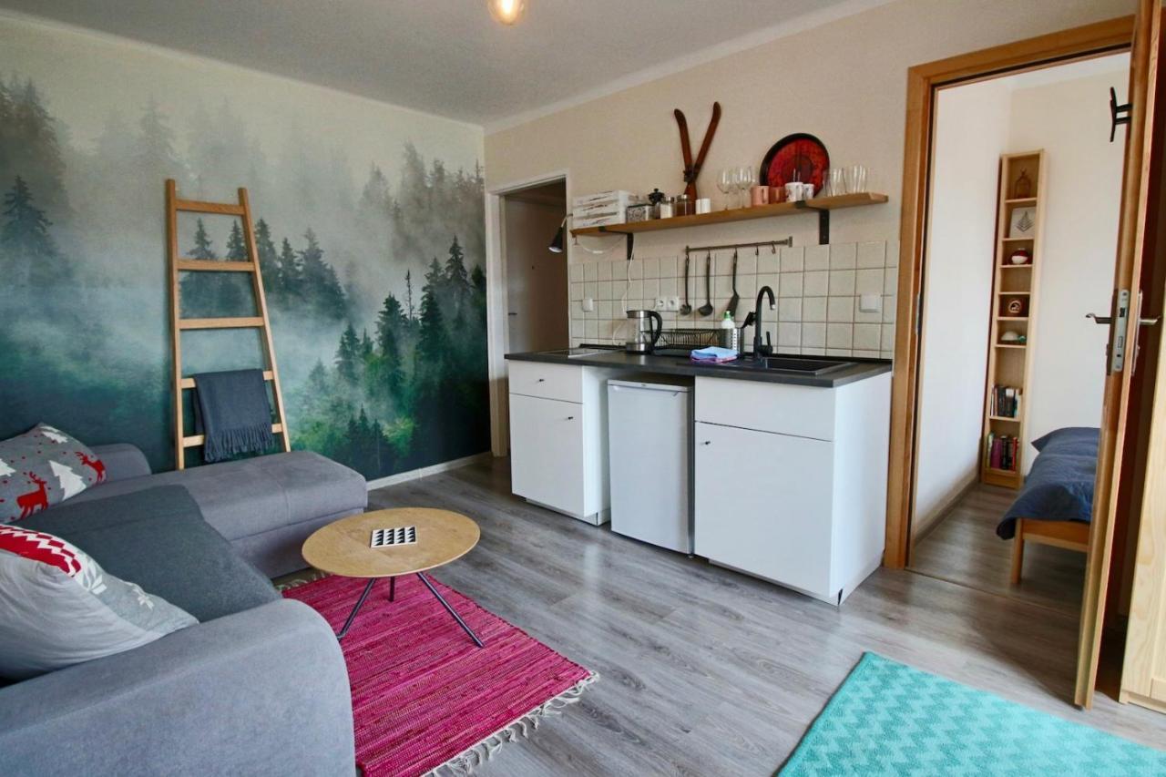 Appartement Apartament Bazatatry Sloneczny II à Zakopane Extérieur photo