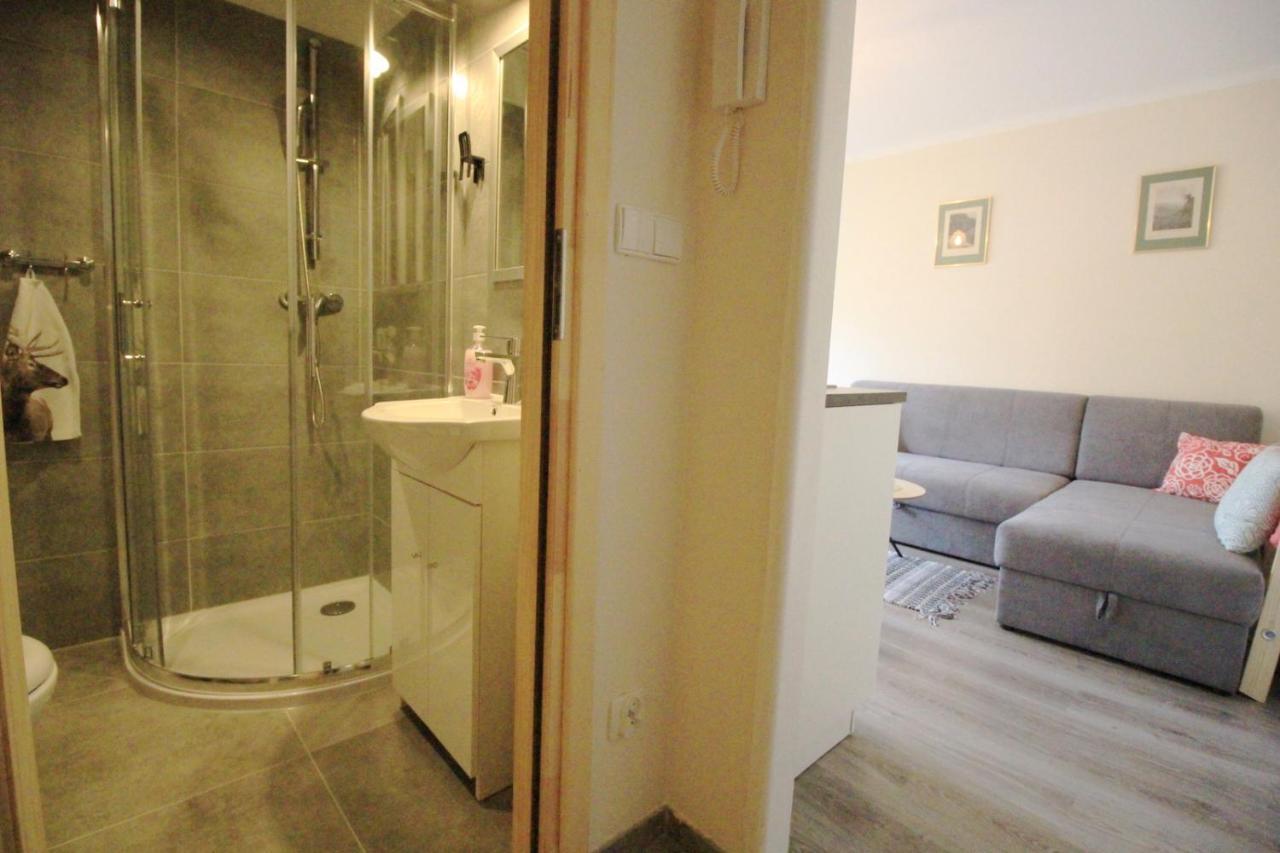 Appartement Apartament Bazatatry Sloneczny II à Zakopane Extérieur photo